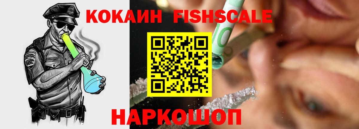 Cocaine FishScale  Вход с VPN  Гусиноозёрск 