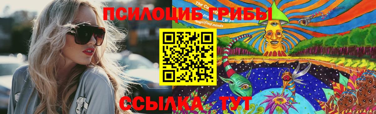 Псилоцибиновые грибы Magic Shrooms Гусиноозёрск