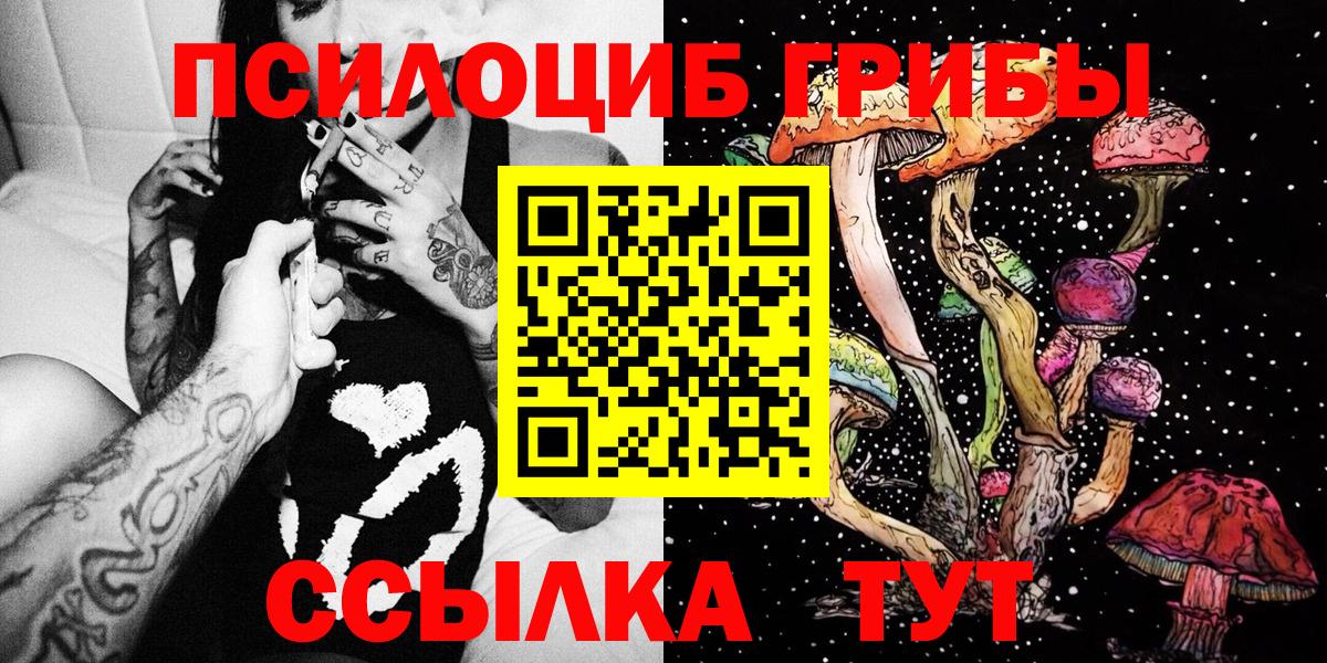 хочу наркоту  Вход с VPN  Гусиноозёрск  Галлюциногенные грибы прущие грибы  Галлюциногенные грибы Psilocybe 